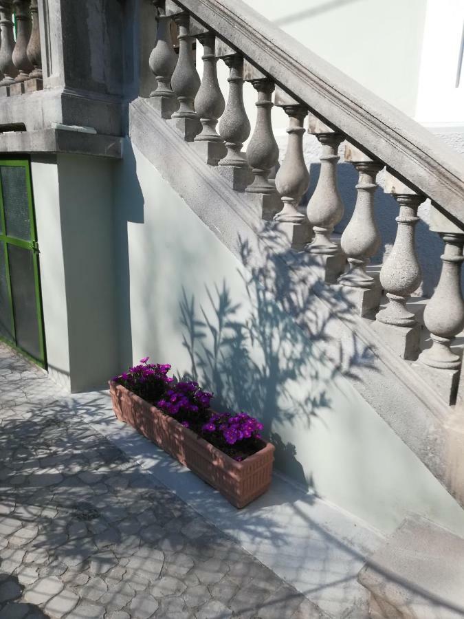 Agli Oleandri Appartamento In Villa Con Con Parcheggio Gorizia Eksteriør billede